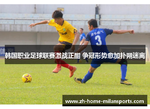 韩国职业足球联赛激战正酣 争冠形势愈加扑朔迷离